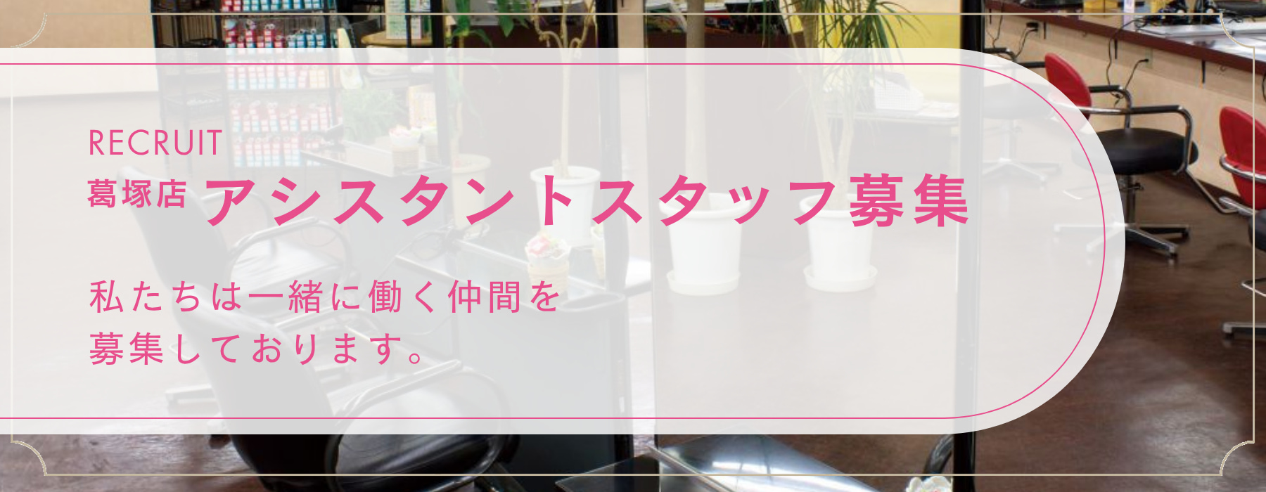 アシスタントスタッフ募集